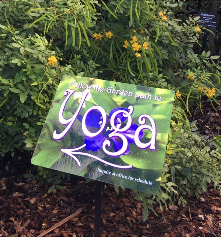 Prime of Life Yoga 